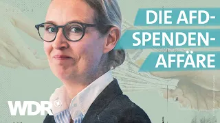 AfD-Spenden: Das heimliche Geld der Millionäre | Investigativ | WDR