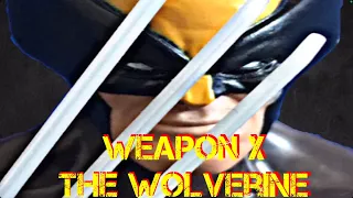 Weapon X The Wolverine Stop Motion