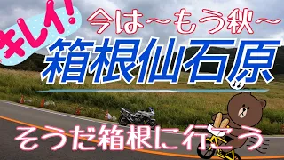 仙石原から湖尻まで走ってみた　箱根紹介シリーズ（不定期）【モトブログ】【motorcycletouring】【HAKONE】