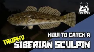 Russian fishing 4 -Lower Tunguska River -How to catch a trophy Siberian Sculpin