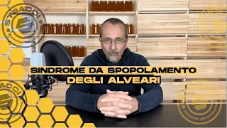 Parliamo della Sindrome da Spopolamento degli Alveari: ecco cosa dovete sapere!