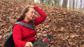 How to Train Your Cat How to Hike