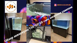 Обзор аквариума с нижним сампом. Аквариум 150*60*60. Самп 80*40*40.