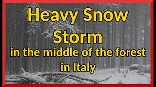 6 Hours of Heavy Snow Storm in the middle of the forest in Italy | Nature Sound | Sleep Sound