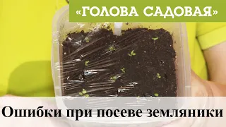 Голова садовая - Ошибки при посеве земляники