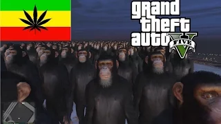 GTA 5 Funny Moments - Monkey on its highway to Hell!