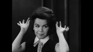FRACTURED FLICKERS - ANNETTE FUNICELLO