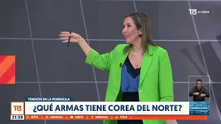 Tensión entre Coreas: Norte lanza 200 proyectiles