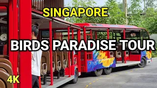 Birds Paradise Tour | Singapore Birds Paradise  | Asia's Largest Bird Park