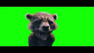 Rocket Raccoon Crying and Screaming - Green Screen