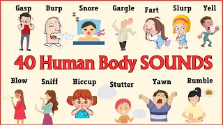 Lesson 26:  40+ Human BODY SOUNDS Vocabulary in 6 minutes in English #vocabulary