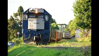 TREM COM G-22-U E PLATAFORMAS VAZIAS + CRUZAMENTO