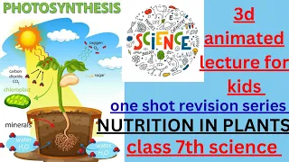 Maximize Plant Growth with Proper Nutrition #youtubevideo #education #science