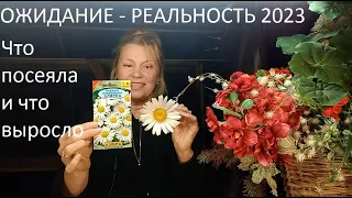 Ожидание - реальность 2023 г.