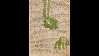 இறந்தவர்களை எழுப்பும் Book 😰 | Mystery Book | Voynich manuscript Book #shorts #youtubeshorts