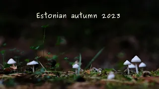 Estonian autumn / Eesti sügis - 2023 (4K)