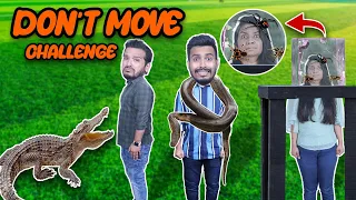 OMG Don't Move Challenge | HUNGRY BIRDS