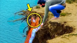 Man Saved Lynx On A Cliff, But What The Lynx Did Next Is Very Shocking