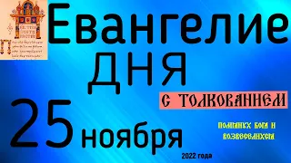 Евангелие дня с толкованием 25 ноября  2022 года 90 псалом