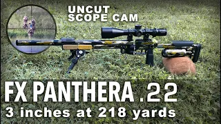 FX PANTHERA 3 Inches At 218 Yards