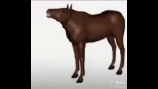 лошадь 1