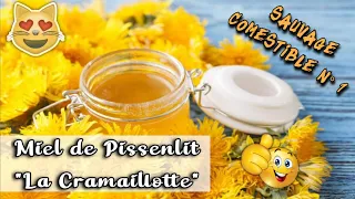 Autonomie & Miel ou Gelée de fleurs :  La Cramaillotte de Pissenlits (plante sauvage comestible)