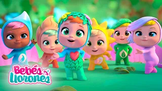 ¿MISIÓN CUMPLIDA? ✅ LITTLE CHANGERS 💧☀️🔥 Serie ECO ♻️ BEBÉS LLORONES 💧 LÁGRIMAS MÁGICAS 💕 en ESPAÑOL