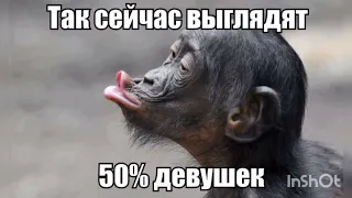 Всем хорошего настроения🤣🤣🤣заряжайтесь позитивом!!!!!!!!!!!!!!!