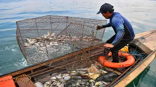 Top Unique Fish Trap Videos On The Sea - Trap Primitive Catching Lot Of Big Fish!!