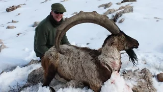 BEZOAR IBEX HUNTING HENRY SKEFFINGTON & FRONTIER