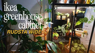 RUDSTA WIDE GREENHOUSE CABINET | set-up, plant tour, & one-week update