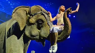 Circus elephant : Girl and Elephant" circus show! /  Девочка и слон цирковое шоу!