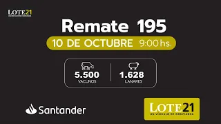 Lote21-195º Remate / 10 de Octubre 2023