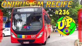 #236 Movimentação de ônibus na Cidade Universitária - Recife