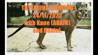 Thylacine sighting 7/11/2022 Tailem Bend South Australia with Kane & Daniel.