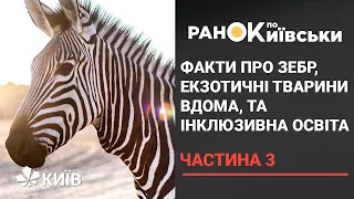 Інклюзивна освіта у Києві, екзотичні тварини вдома та цікаві факти про зебр - частина 3