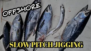 Exciting Offshore Jigging Session for Long Tail Tuna March 31, 2024