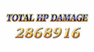 Squall Pre-Rework BT Damage? [DFFOO GL - FFS#3]