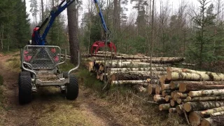 Avesta Vagnen Avlastning