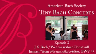 “Wer ein wahrer Christ will heissen,” BWV 47/2 | Tiny Bach Concerts Episode 3