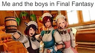 FFXIV memes that went too far..