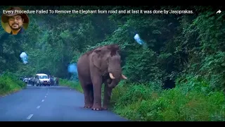 Every Procedure Failed To Remove the #Elephant# from #road# and at last it was done by #Jasoprakas#.