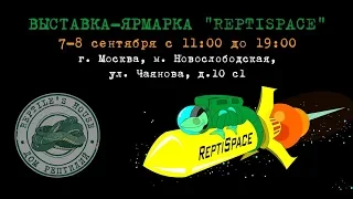 #Антикафе#anticafe REPTISPACE