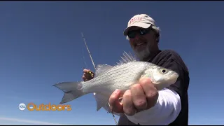 Fishing the White Bass Spawn at Utah Lake