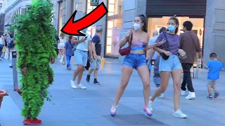 Try Not To Laugh Watching This Video (99% IMPOSSIBLE) Bushman Prank