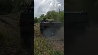 Leopard 2A4 в камуфляжі Barracuda