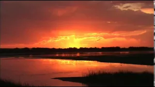 Robin Guthrie & Harold Budd - Neil's Theme