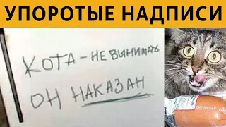 150 САМЫХ УПОРОТЫХ ОБЪЯВЛЕНИЙ - КОТА НЕ ВЫНИМАТЬ, ОН НАКАЗАН xDD