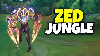 Zed : Ormanın En Hızlı Suikastçisi