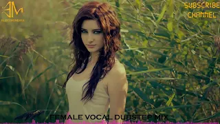 Female Vocal Dubstep Mix   01